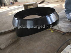 Forged Fittings