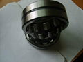 SKF BEARINGS