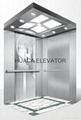 Elegant Passenger Elevator 1