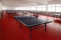 sports floor for table tennis floor