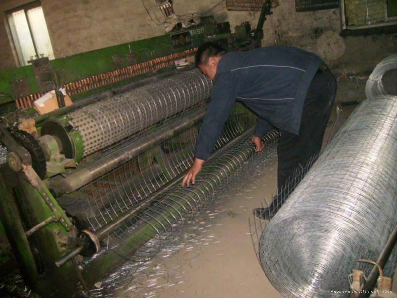 Good price Hot dipped welded wire mesh factory 4