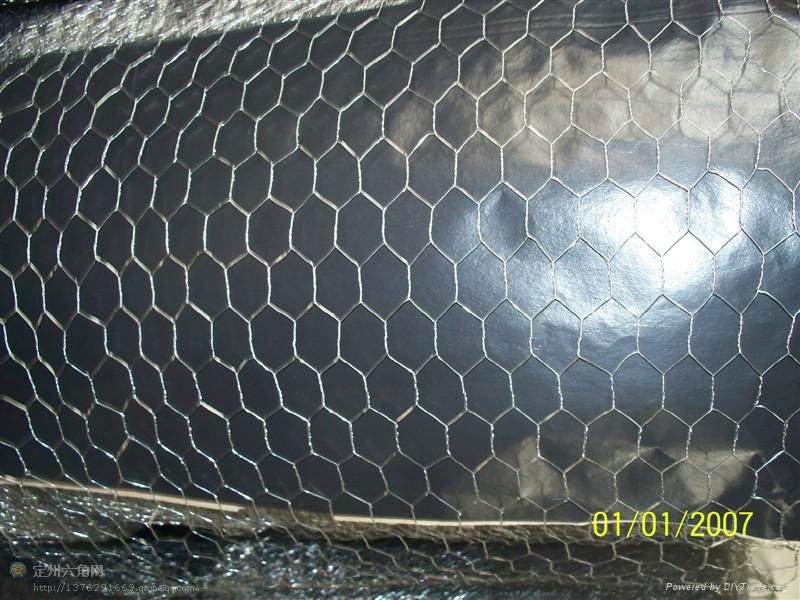 High quality Gal Hexagonal mesh factory in China