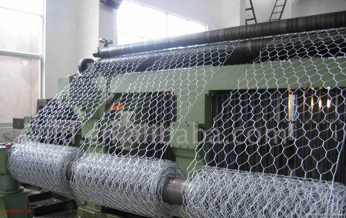 High quality Gal Hexagonal mesh factory in China 5