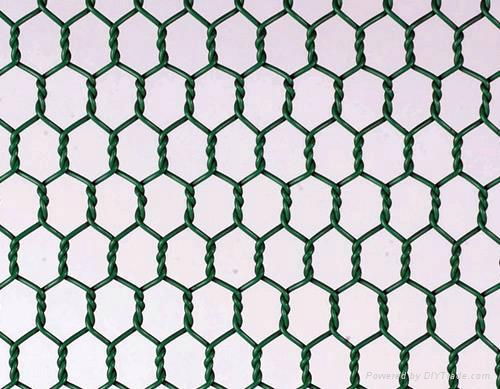 High quality PVC Hexagonal Chicken mesh