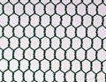 High quality PVC Hexagonal Chicken mesh