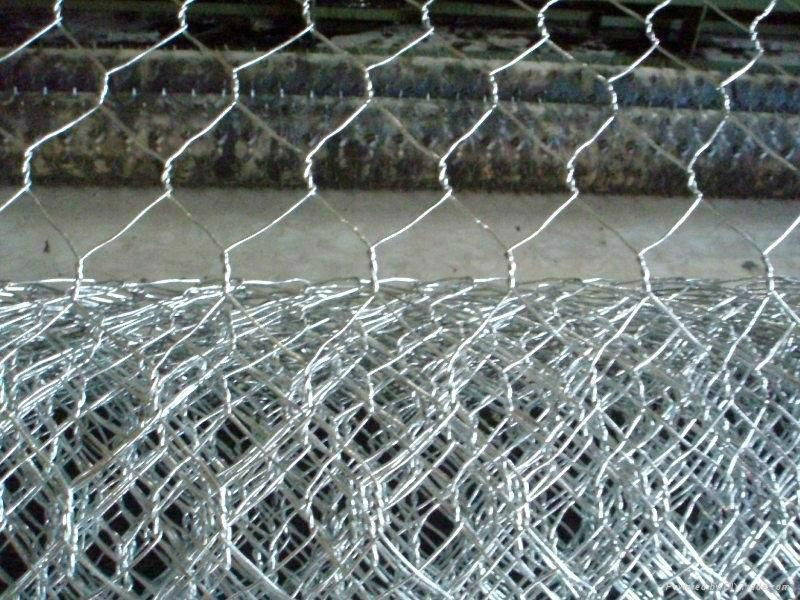 High quality PVC Hexagonal Chicken mesh 2