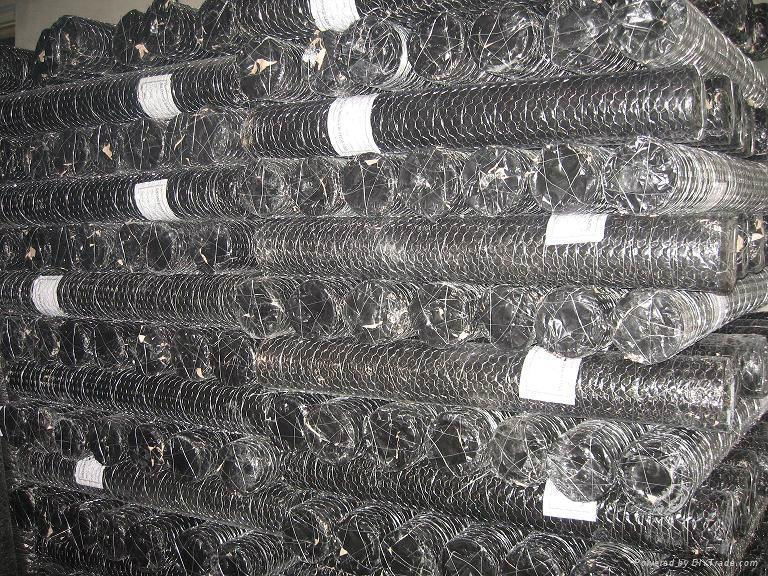 High quality PVC Hexagonal Chicken mesh 3