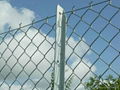 Galvanized Chain Link Fence( diamond wire mesh), PVC Coated Chain Link Fence 5