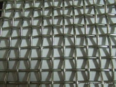 Crimped Galvanized Square Wire Mesh