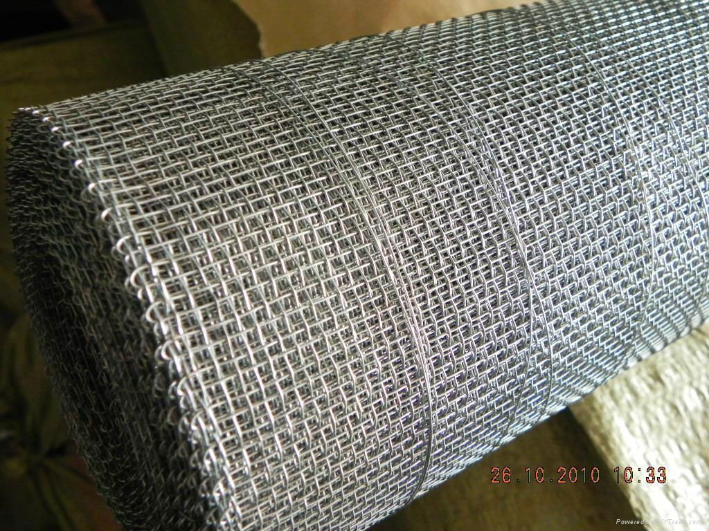 Crimped Galvanized Square Wire Mesh 5