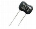 Silver Mica Capacitors TS23