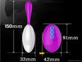 Sex Toy Female Vibration MassagerRemote Control Wireless Anal Egg Vibrator