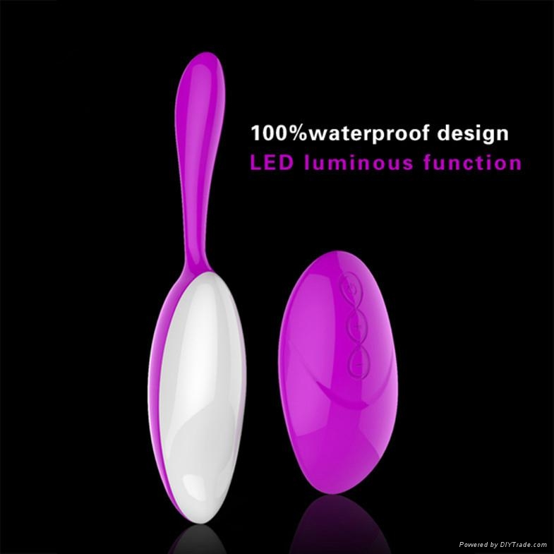 Sex Toy Female Vibration MassagerRemote Control Wireless Anal Egg Vibrator 2