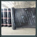 SBS modified asphalt membrane 2