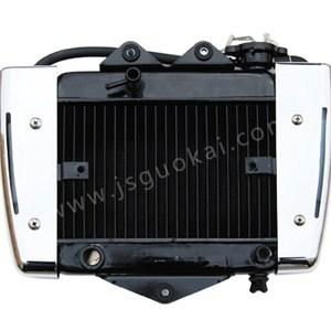 GK Foton 150LA Radiator