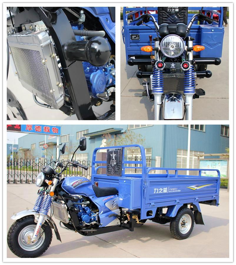 175cc cargo tricycle 3