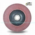 Flap Disc for Metal & Stainless Steel