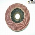 Flap Disc With Aluminium Oxide For Metal Grinding 3