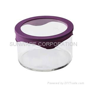 Anti-microbial Borosilicate Glass Food Container 