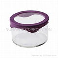 Anti-microbial Borosilicate Glass Food Container 