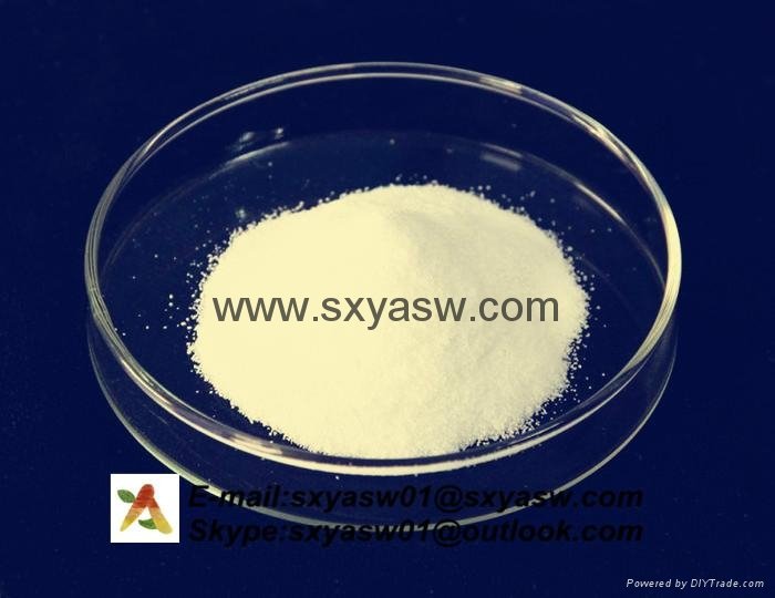 natural 98% Tetrahydropalmatine Corydalis Yanhusuo Extract CAS No 10097-84-49