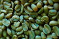 Natural Green coffee bean extract 50% chlorogenic acids 3