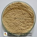 Natural Green coffee bean extract 50% chlorogenic acids