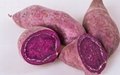 100% natural instant soluble Purple Sweet Potato Powder