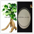 natural Kudzu Root Extract Pueraria Extract 40% 98% Puerarin