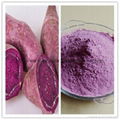 100% natural instant soluble Purple