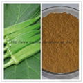 pure natural enhance immunity 10:1 Okra Extract