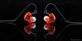 hifi in-ear sport headphones 5