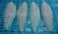 Pangasius fillet Well trimmed