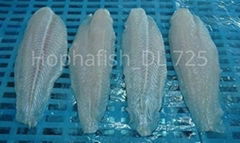 Pangasius fillet Well trimmed