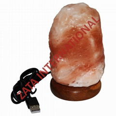 Himalayan Rock USB Natural Salt Lamps 0.75 Kg 5 Feets Cord Bulb w LED Base