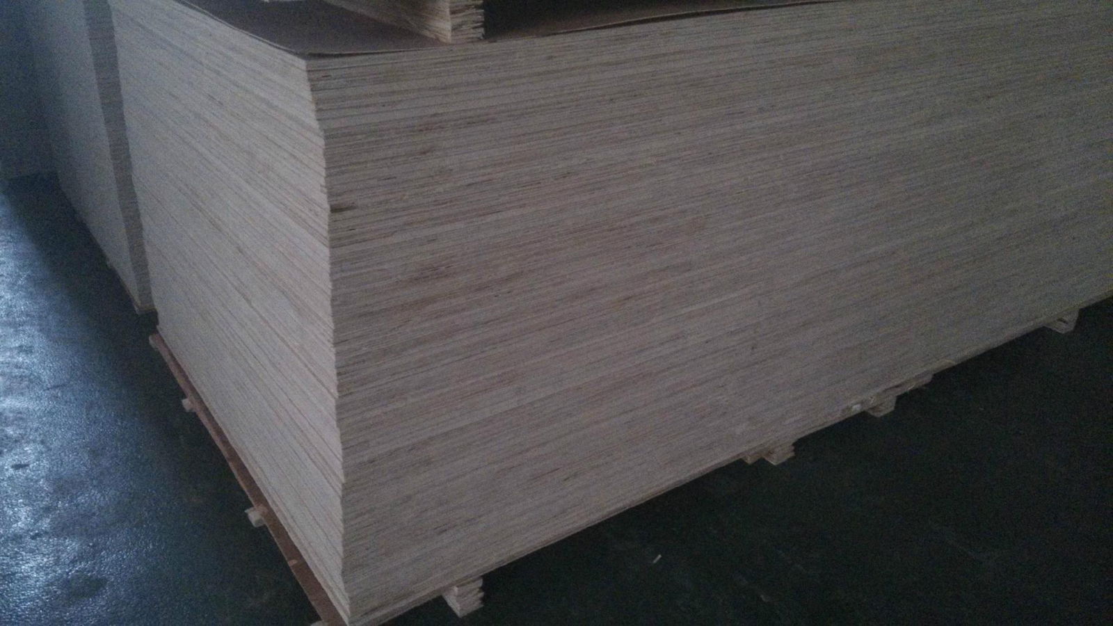 1220*2440*12mmplywood high quality plywood in different specifications 4