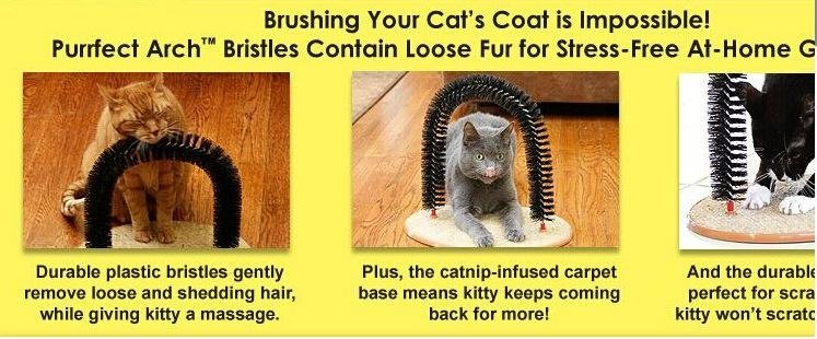 relaxes your cat with Cat Scratcher Brush 2