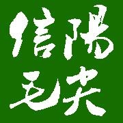 信阳毛尖一压一二叶茶