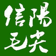 信阳毛尖春尾茶