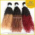 Newness ombre hair extension Brazilian kinky curly two tone 100% human hair 2