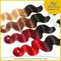 Newness ombre hair extension Brazilian virgin hair Body wave human hair weave 1