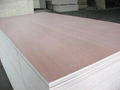 Okoume Plywood