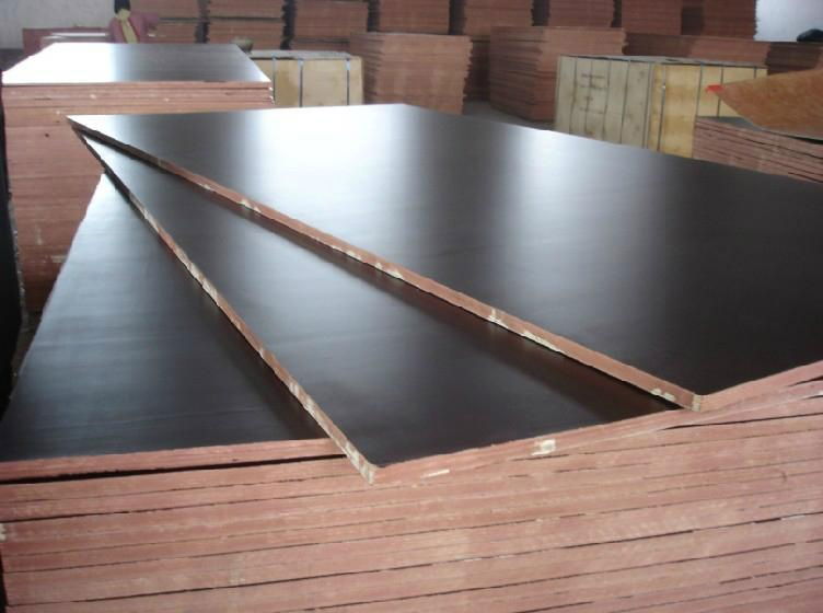 Brown Film faced plywood