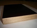 Full Birch Plywood