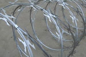 barbed wire