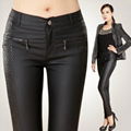 ladies pant   trousers 