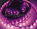 5050 12V/24V flexible led strip light 2