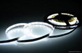 New Arrival Multi Functions SMD5050 Waterproof LED Strip Light