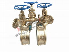 Api600 Bronze Valves