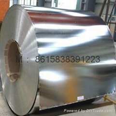 Tinplate coil and sheet